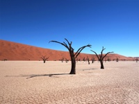2013 Desert Adventure - Namib